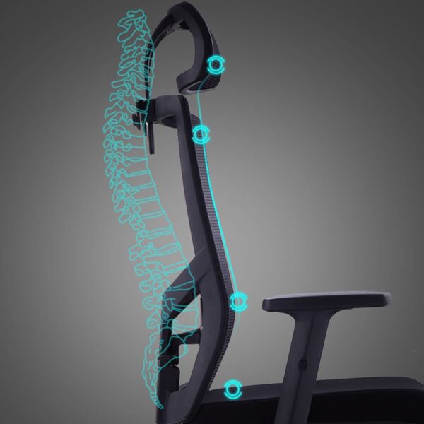 Mesh Orthopedic High back Office Seat - Image 2