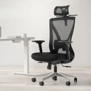 High-back orthopedic office seat