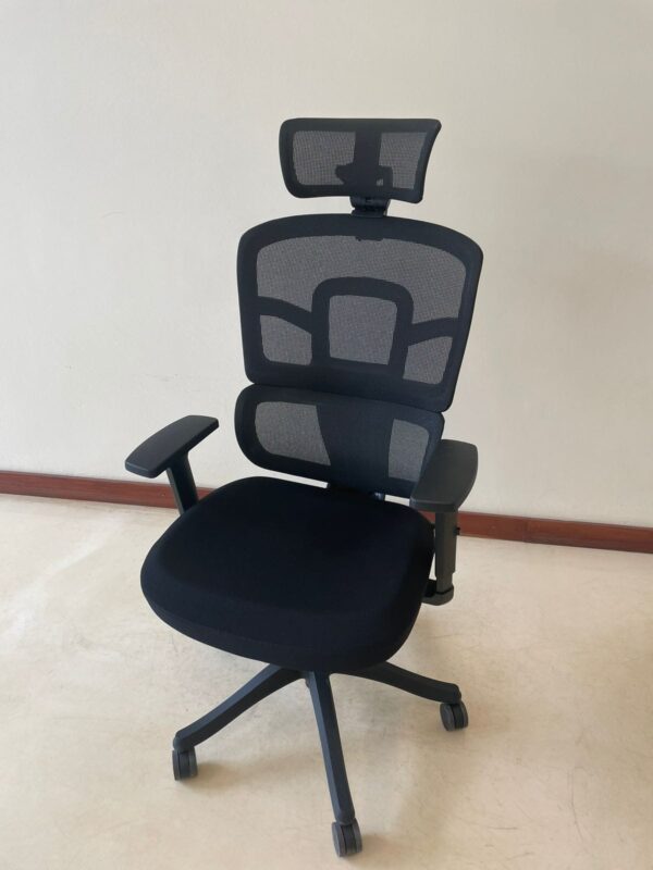 Orthopedic Mesh Office Chair - Image 4