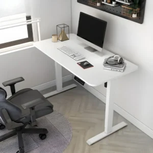 Height Adjustable Electric Desk.